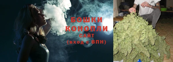 стафф Верхний Тагил