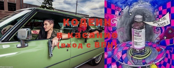 стафф Верхний Тагил